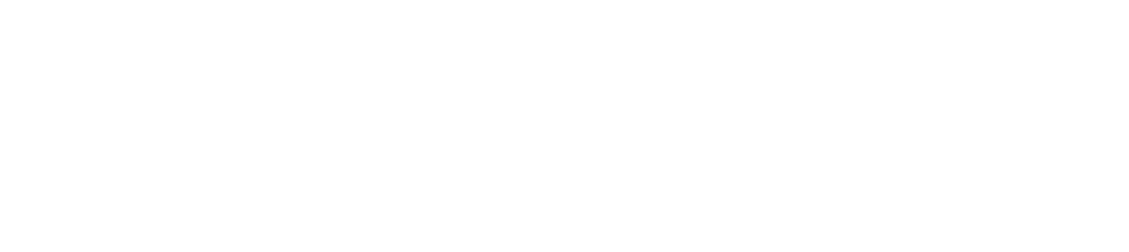 Evolution Real Estate Team